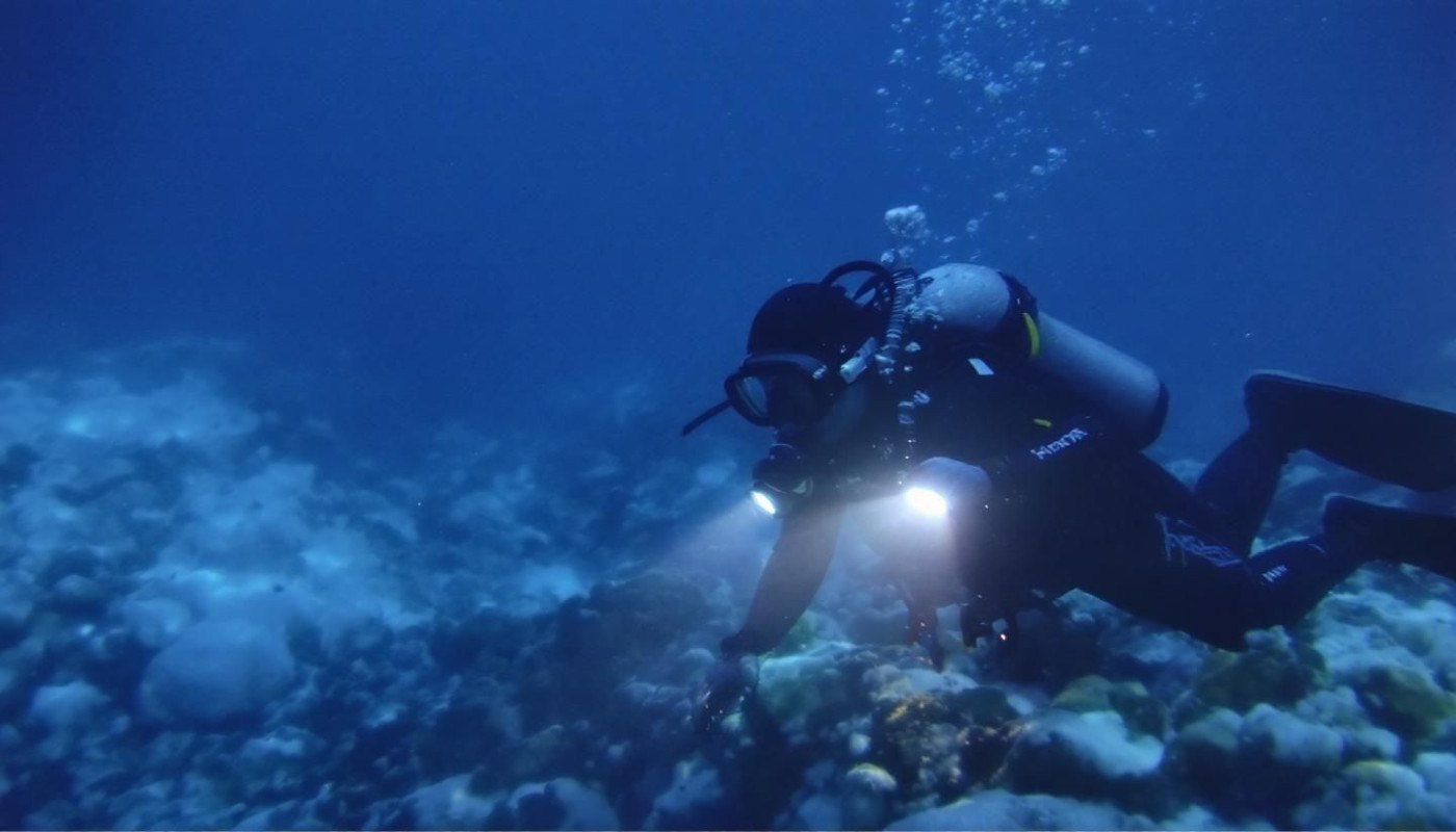 Plongée sous-marine en eaux froides explorer les secrets des profondeurs glacées